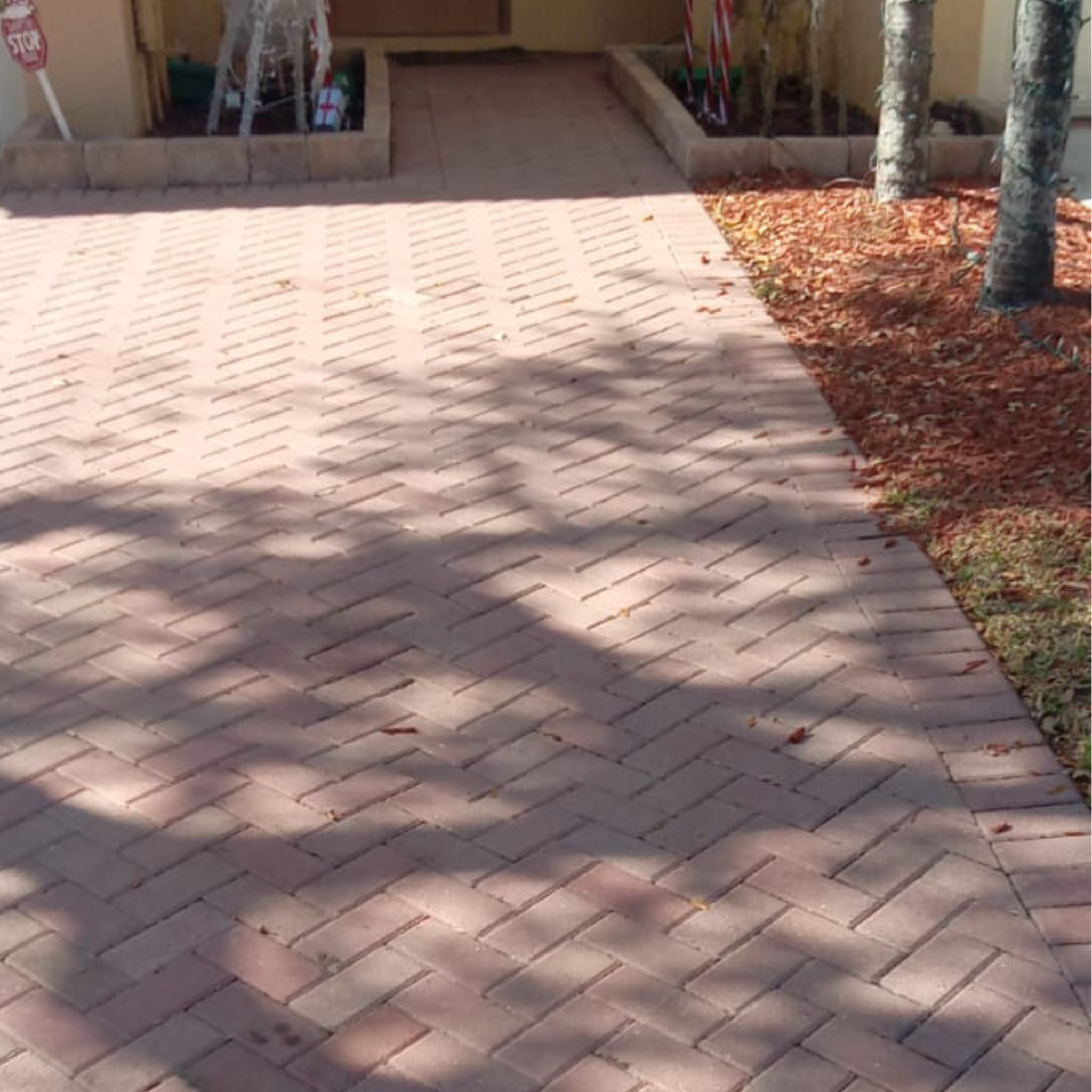 Untitled design (13)