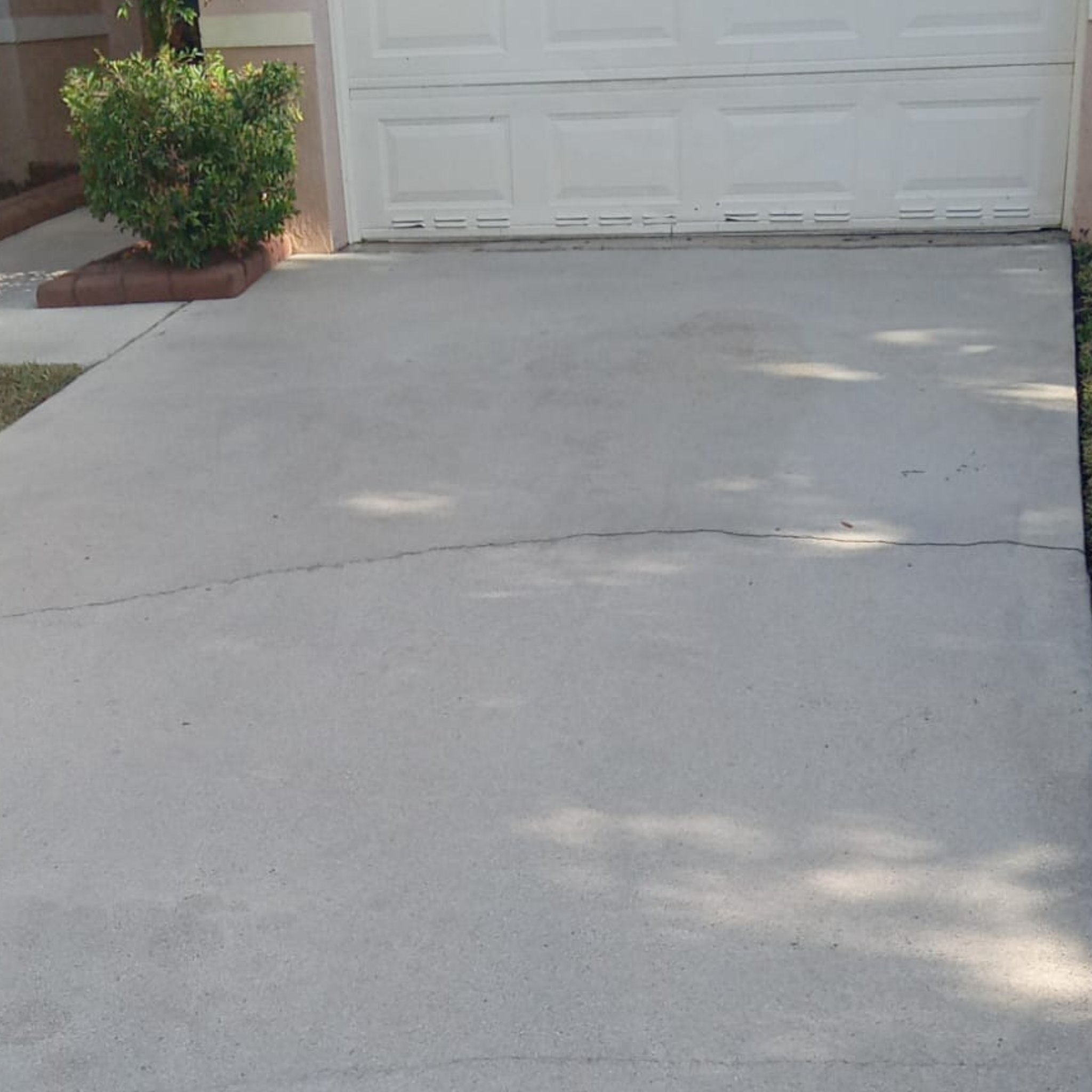 Untitled design (19)