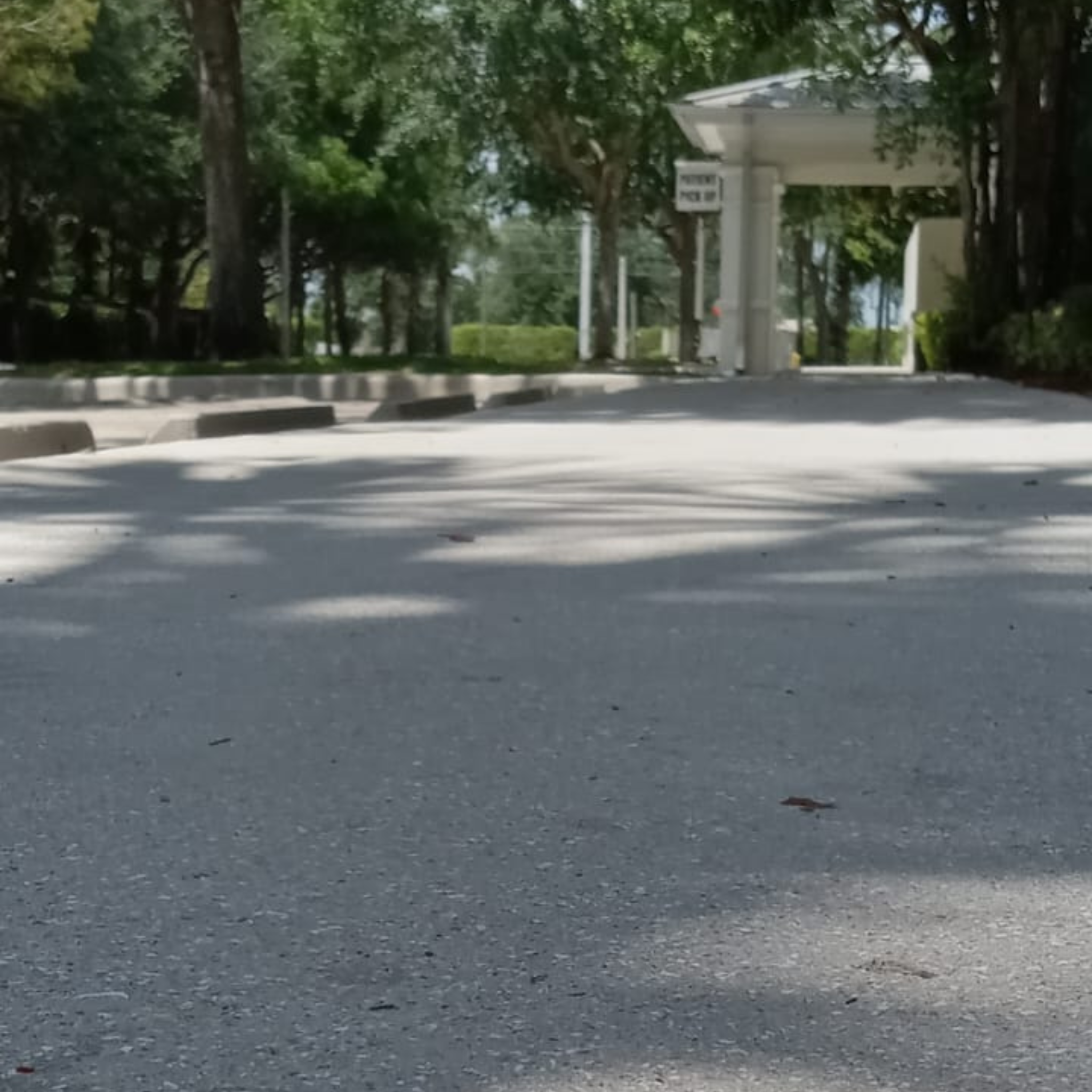 Untitled design (21)