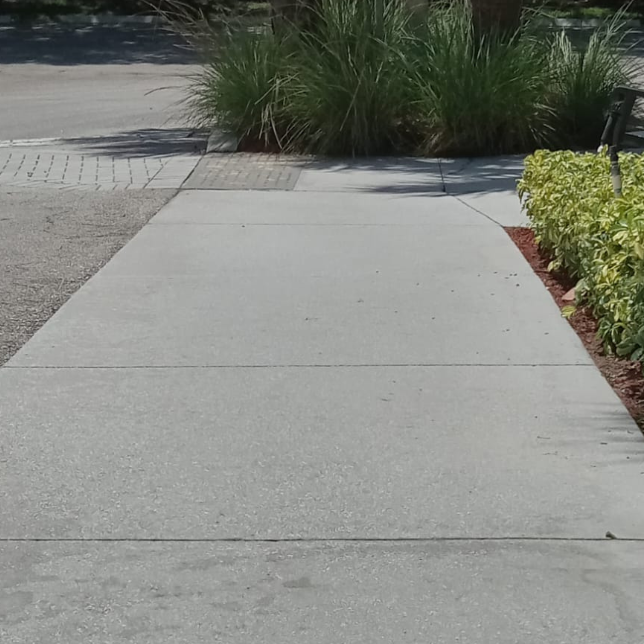 Untitled design (24)