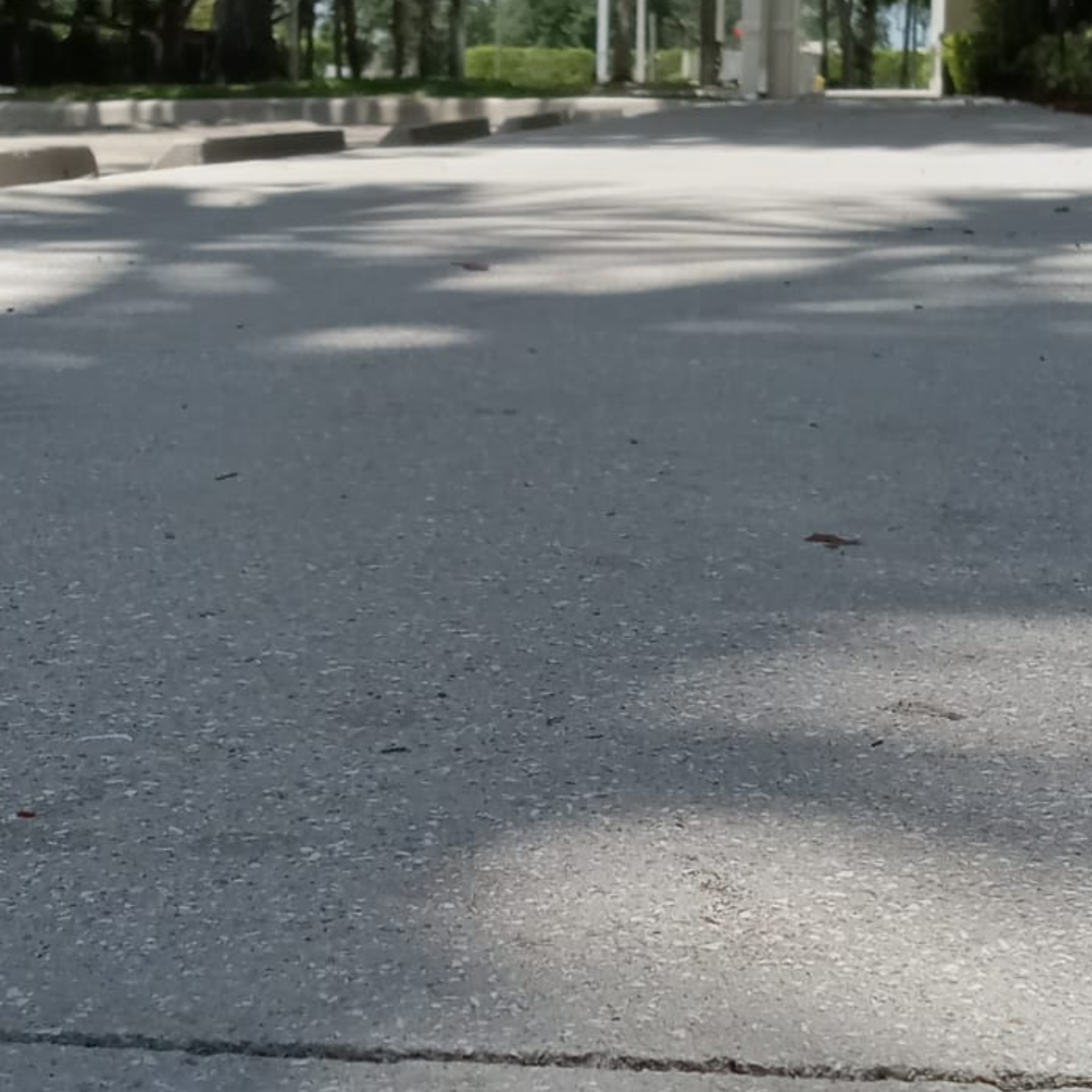 Untitled design (25)